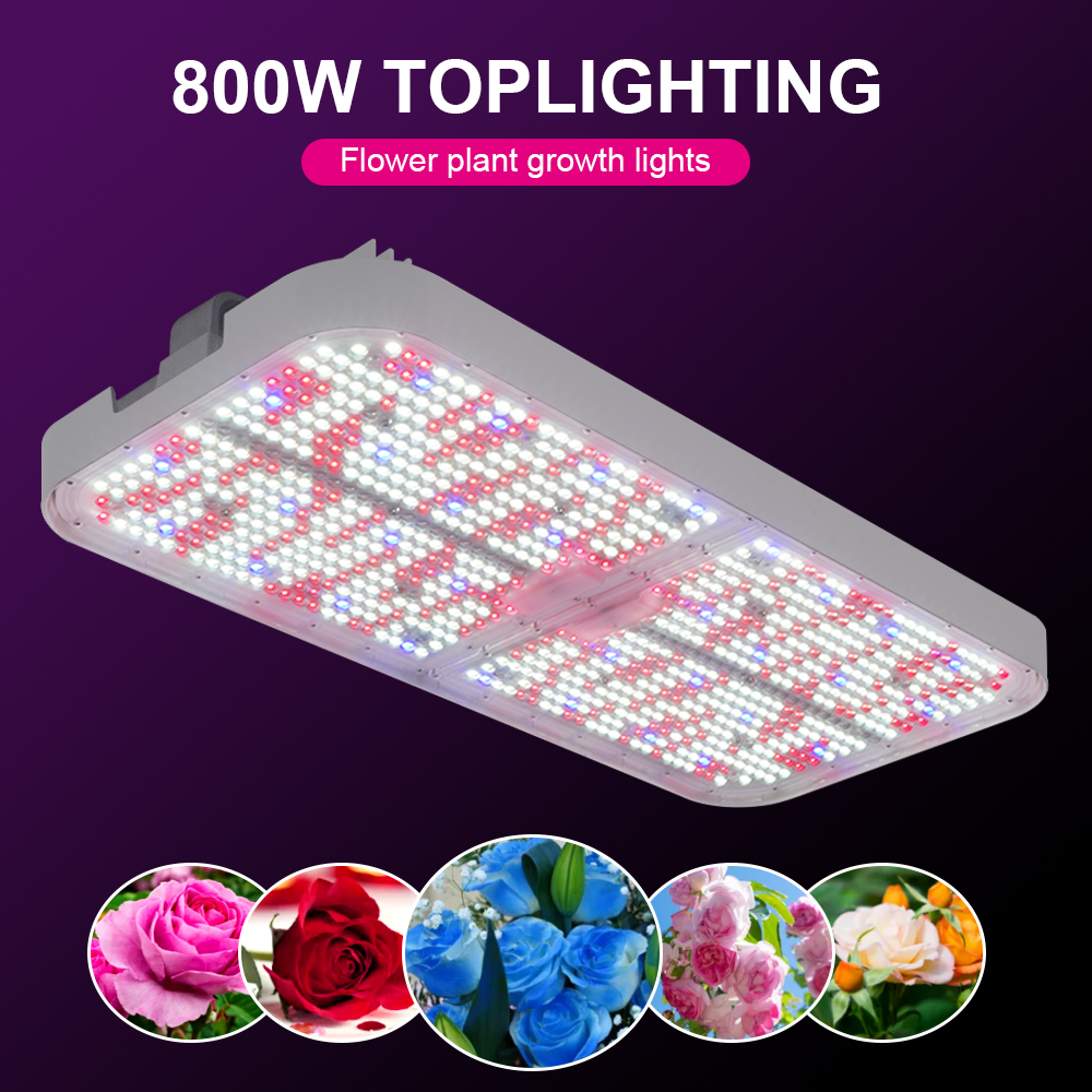 Top-Selling 800W LED Toplighting Grow Lights High Efficiency for Roses Vegetables Hydroponic Greenhouse Farms