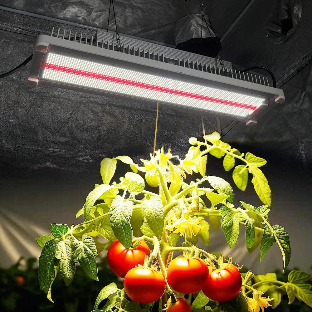 3.3umol/J Waterproof Full Spectrum LED Grow Light Bars with 660nm 730nm IR for Tomato Crop Bloom Phase Indoor Vertical Farming