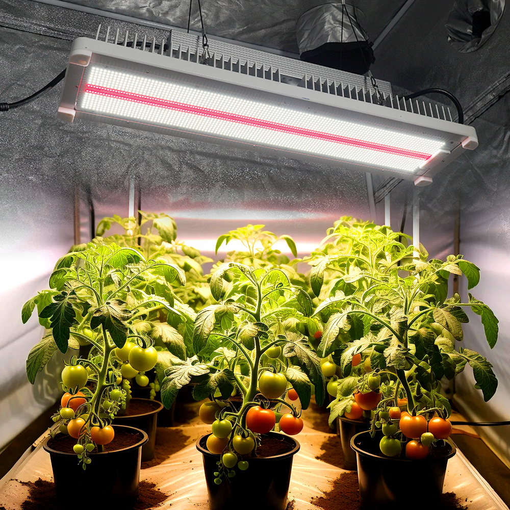 3.3umol/J Waterproof Full Spectrum LED Grow Light Bars with 660nm 730nm IR for Tomato Crop Bloom Phase Indoor Vertical Farming