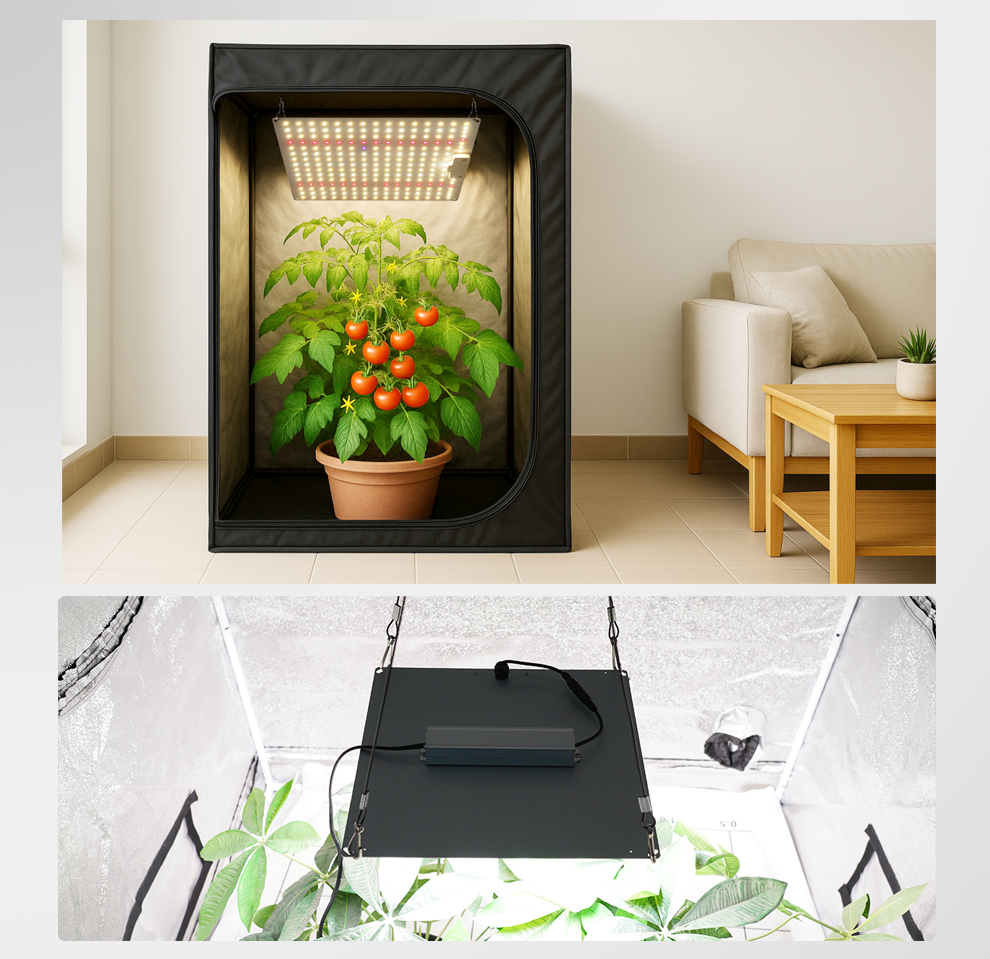 Quantum Board 100W-300W Full Spectrum LED Grow Light Panel for Indoor Hydroponic Plants Vegetables Fruits