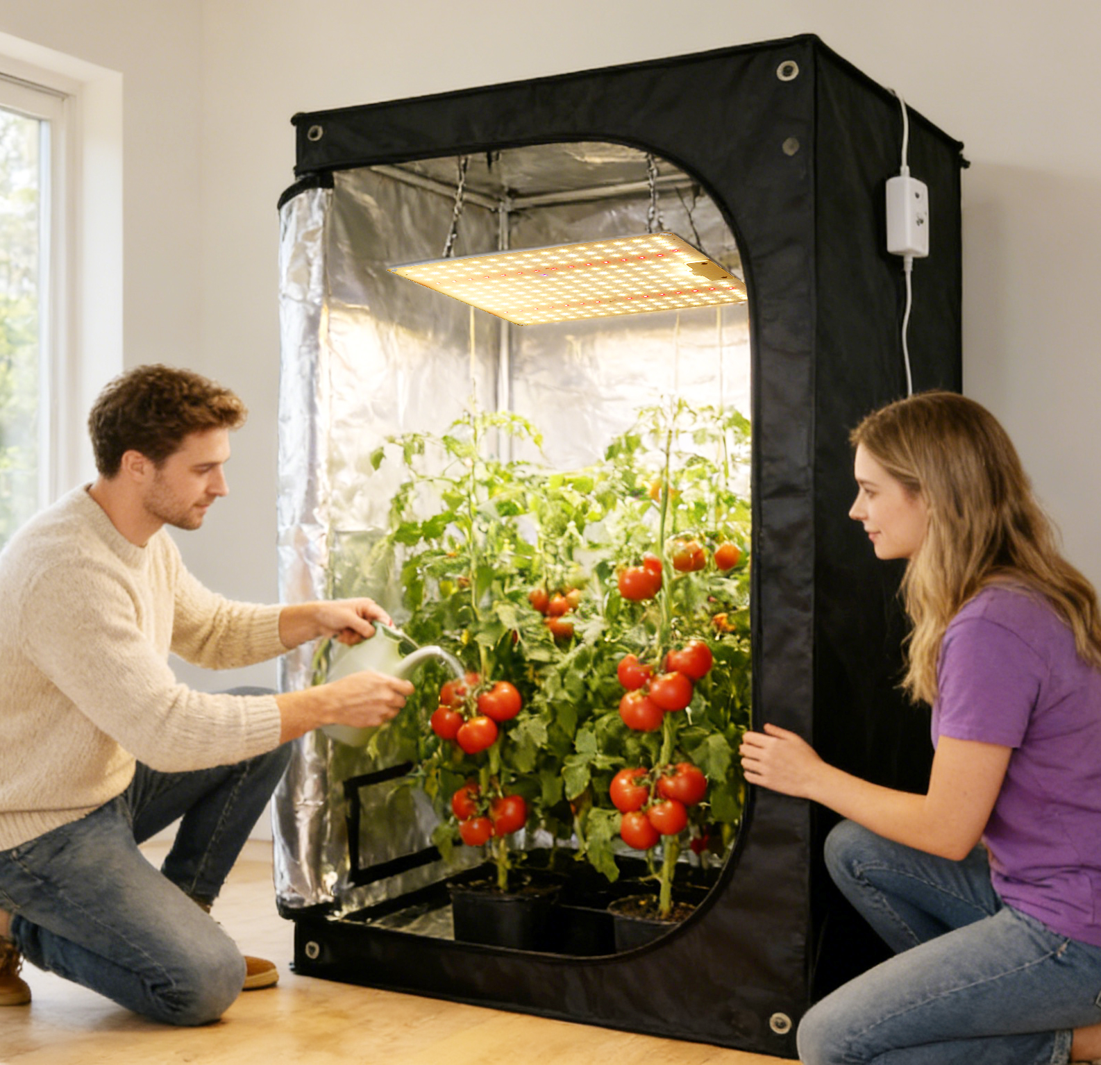 Quantum Board 100W-300W Full Spectrum LED Grow Light Panel for Indoor Hydroponic Plants Vegetables Fruits