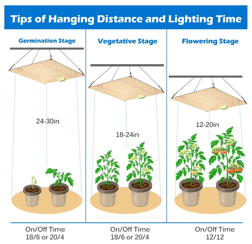 Professional 100W LM301H Full Spectrum LED Grow Light System for Commercial Vertical Farms, Greenhouse Toplighting