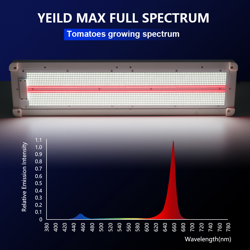 3.3umol/J Waterproof Full Spectrum LED Grow Light Bars with 660nm 730nm IR for Tomato Crop Bloom Phase Indoor Vertical Farming
