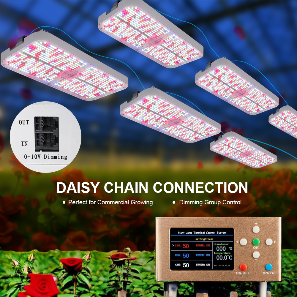 Energy Efficient 120W Double Sided Full Spectrum LED Grow Light Under Canopy Lighting Dimmable Plant Growth Light Strip
