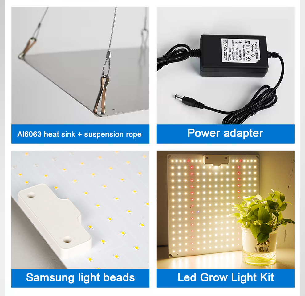 Quantum Board 100W-300W Full Spectrum LED Grow Light Panel for Indoor Hydroponic Plants Vegetables Fruits