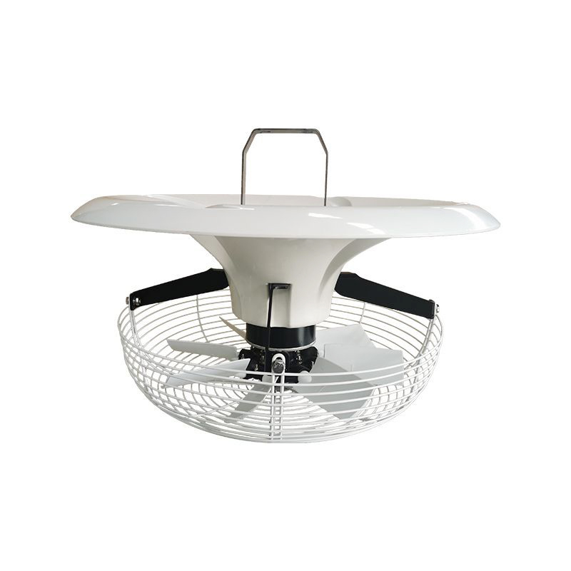 Vertical circulation fan