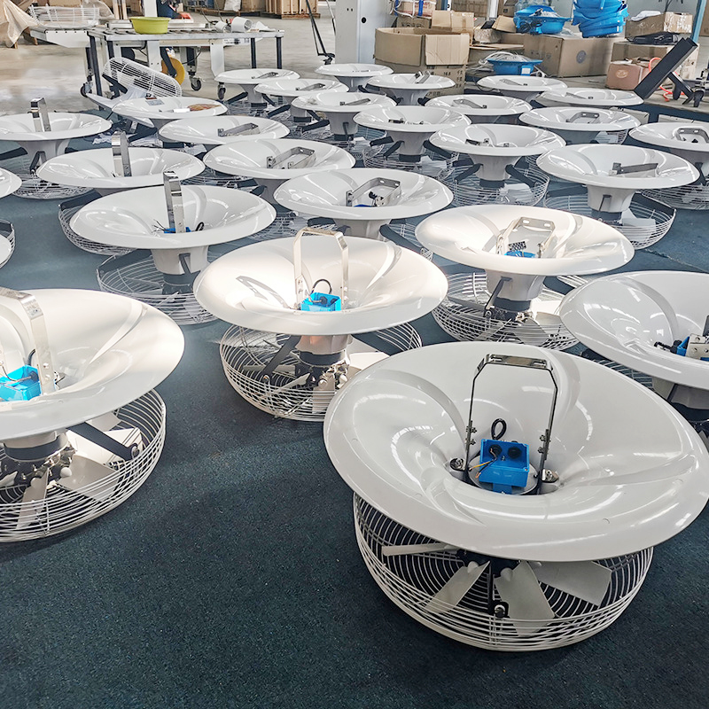 Vertical circulation fan