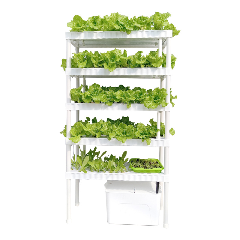  Multi-layer soilless cultivation planting rack
