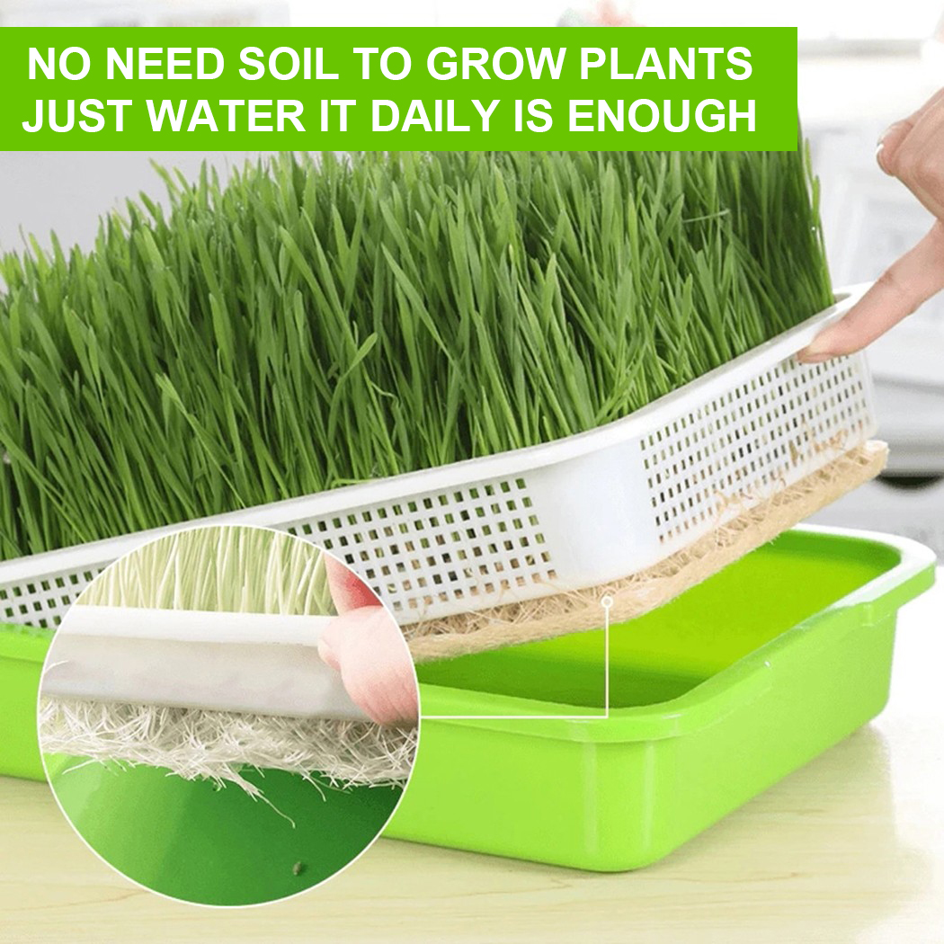 Double Row Seedling Grow Rack