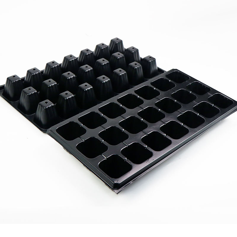 21-hole seedling tray, seedling box