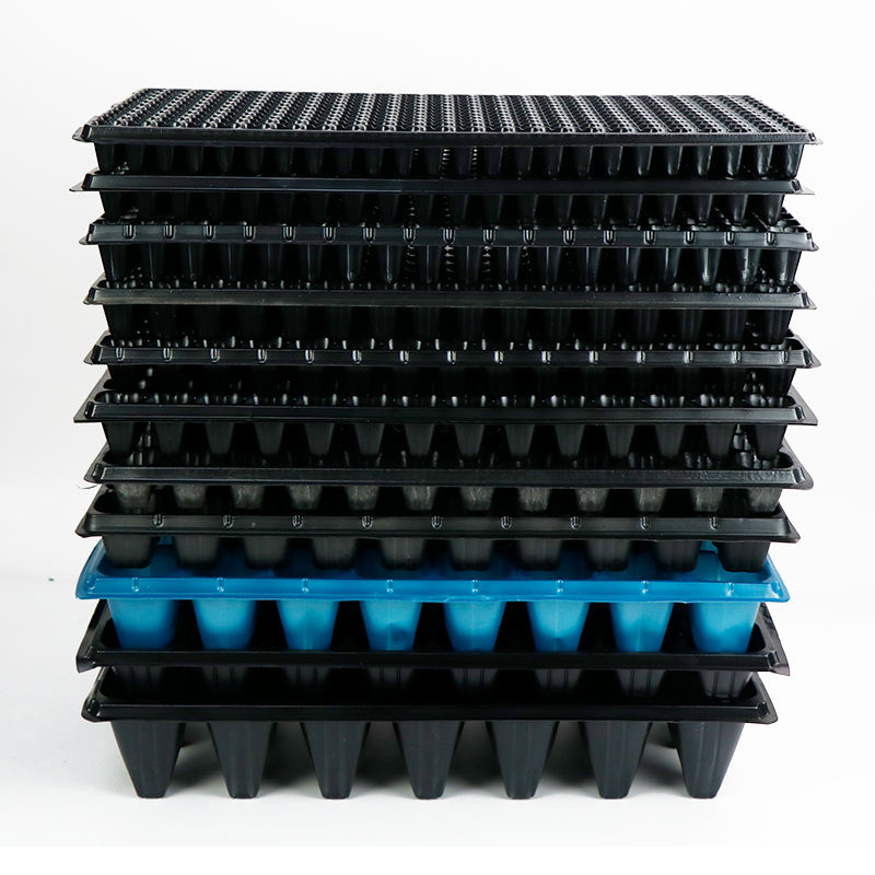 21-hole seedling tray, seedling box