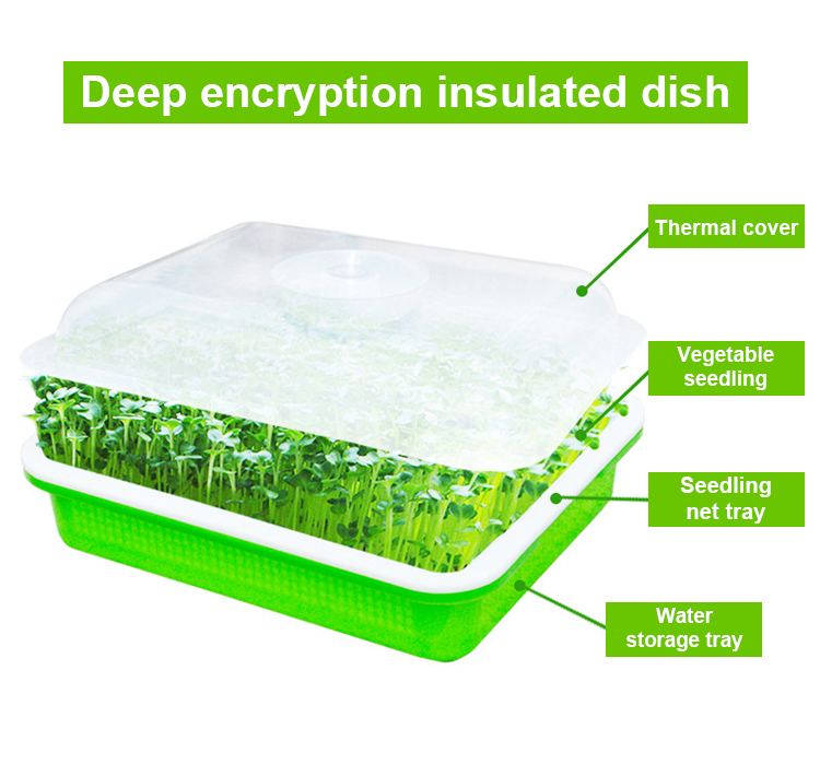 Double Row Seedling Grow Rack