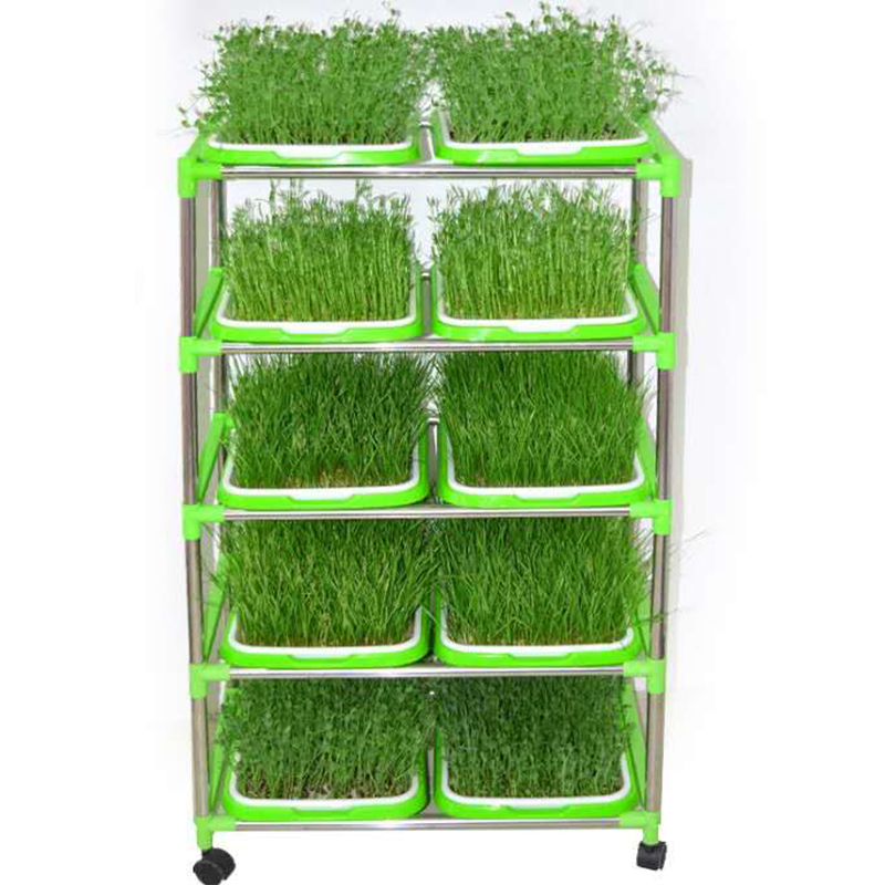 Double Row Seedling Grow Rack