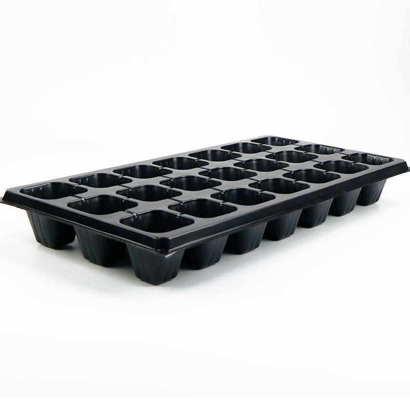 21-hole seedling tray, seedling box