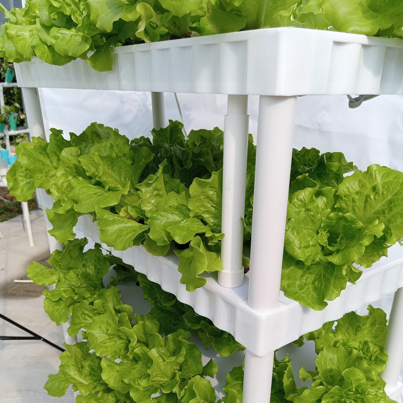  Multi-layer soilless cultivation planting rack