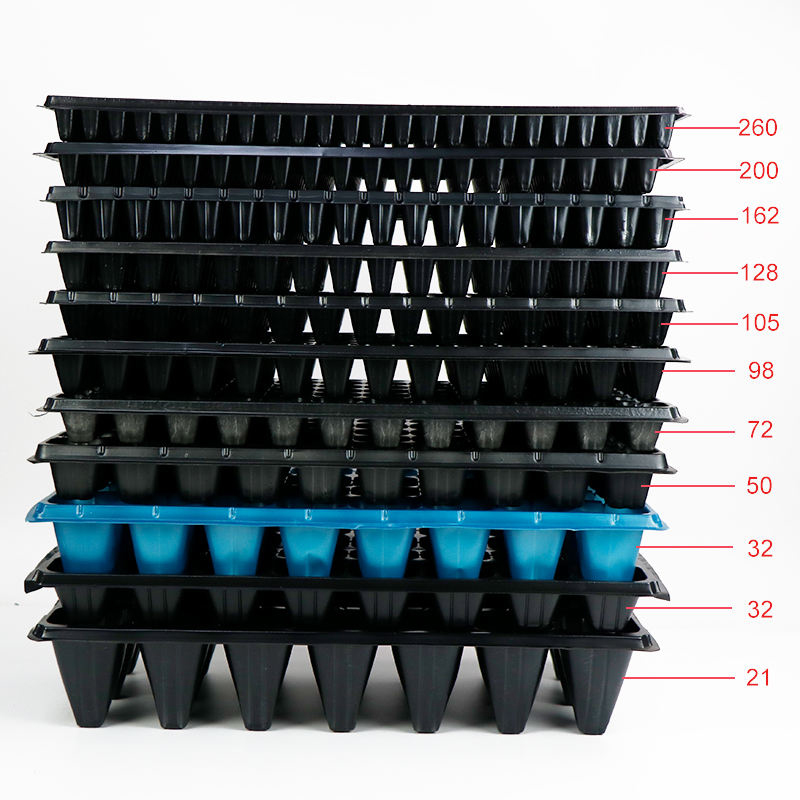 21-hole seedling tray, seedling box
