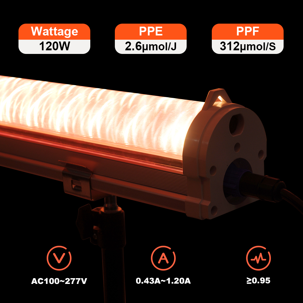 IP65 Waterproof Under Canopy LED Grow Lights 120W for Commercial Agriculture and Greenhouses