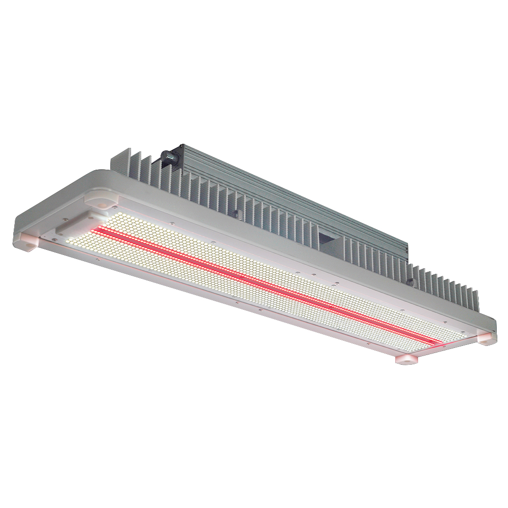 High Yield 3.1 Umol/J 600W 650W Top Lighting Grow Lights Full Spectrum IP65 Waterproof for Outdoor Farms Tomatoes Growing