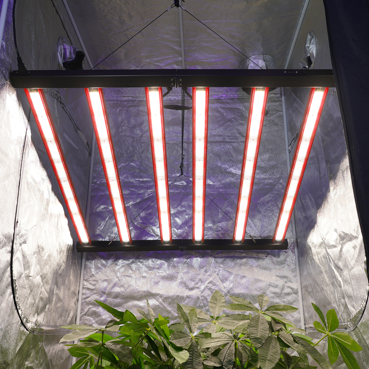 Meijiu Advanced 720W Full Spectrum LED Grow Lights with Separate Control Function for Professional Horticulture Applications