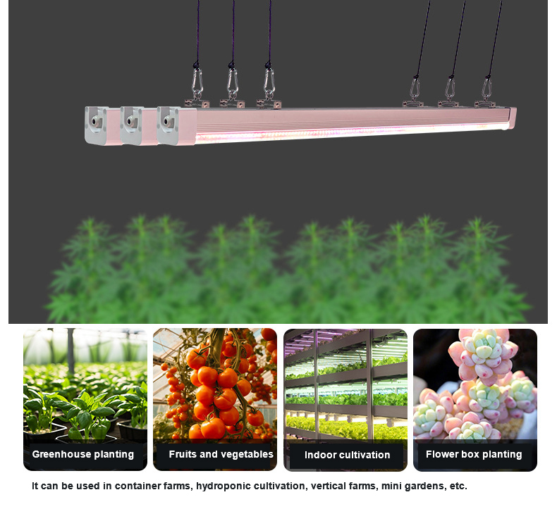 Supplemental Lighting Undercanopy LED Grow Bars for Canopies Cob LM301H Aluminum IP66 Spectrum Color for Plant Bloom