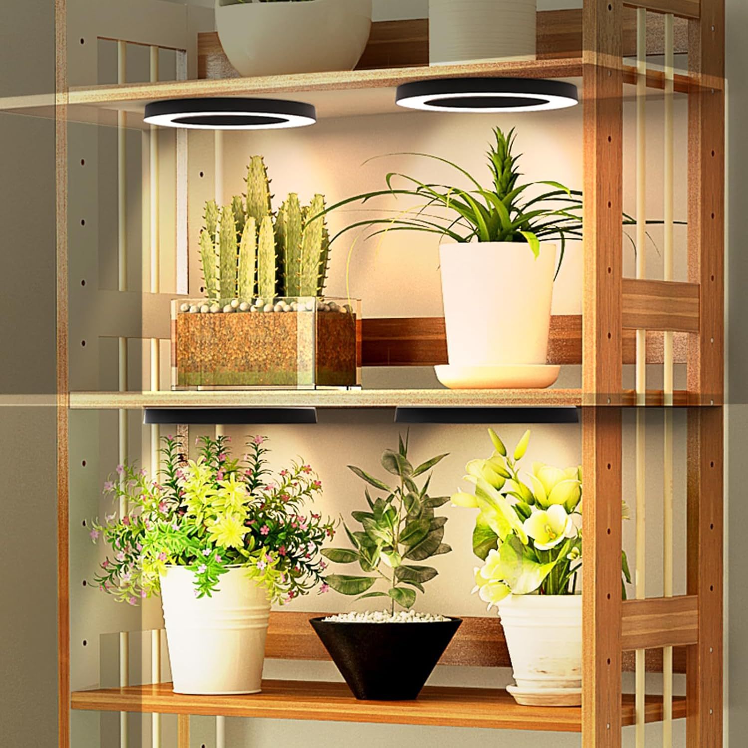 120V/240V 4-in-1 Circular Grow Lighting 4-Light Relay Controllers for Efficient Light Management