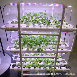 Vertical Hydroponic Plant Growing Rack Multi Layer System Grow Shelf Indoor Balcony Vegetable Herb Microgreens Production