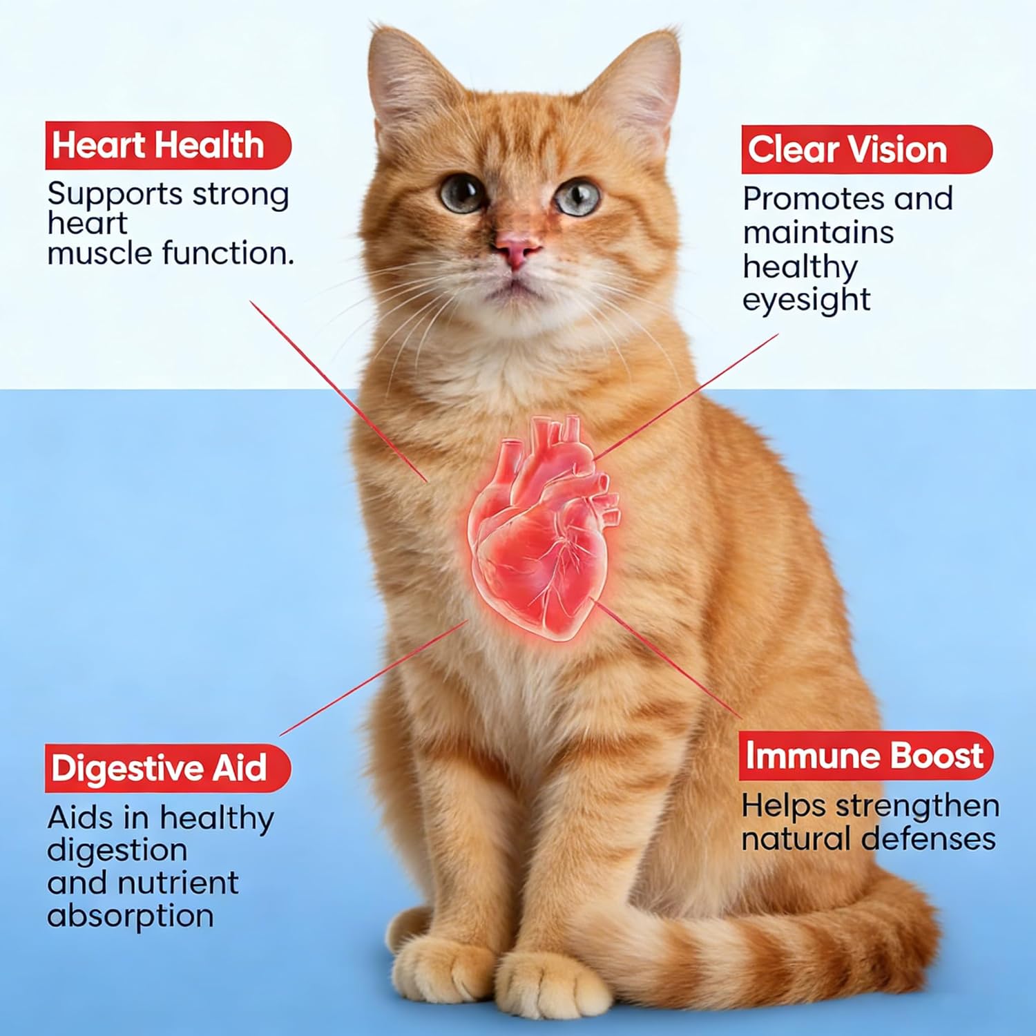 KittySupplement Taurine for Cats -Immune System Support, Heart Health & Vision Care- 200G/7oz