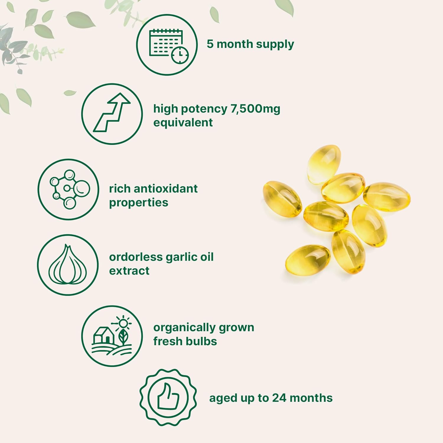 Aged Garlic Extract Capsules,Gluten-Free,Non-GMO,300 Softgels