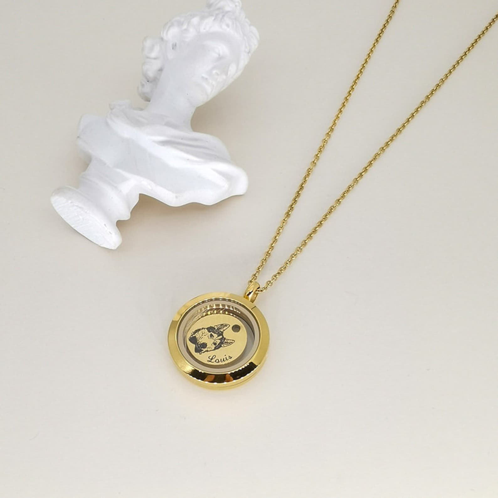 Personalized Pet Fur Locket Memorial Necklace