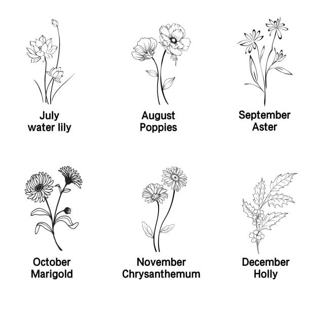 Personalized Birth Flower Travel Jewelry Box | GC002