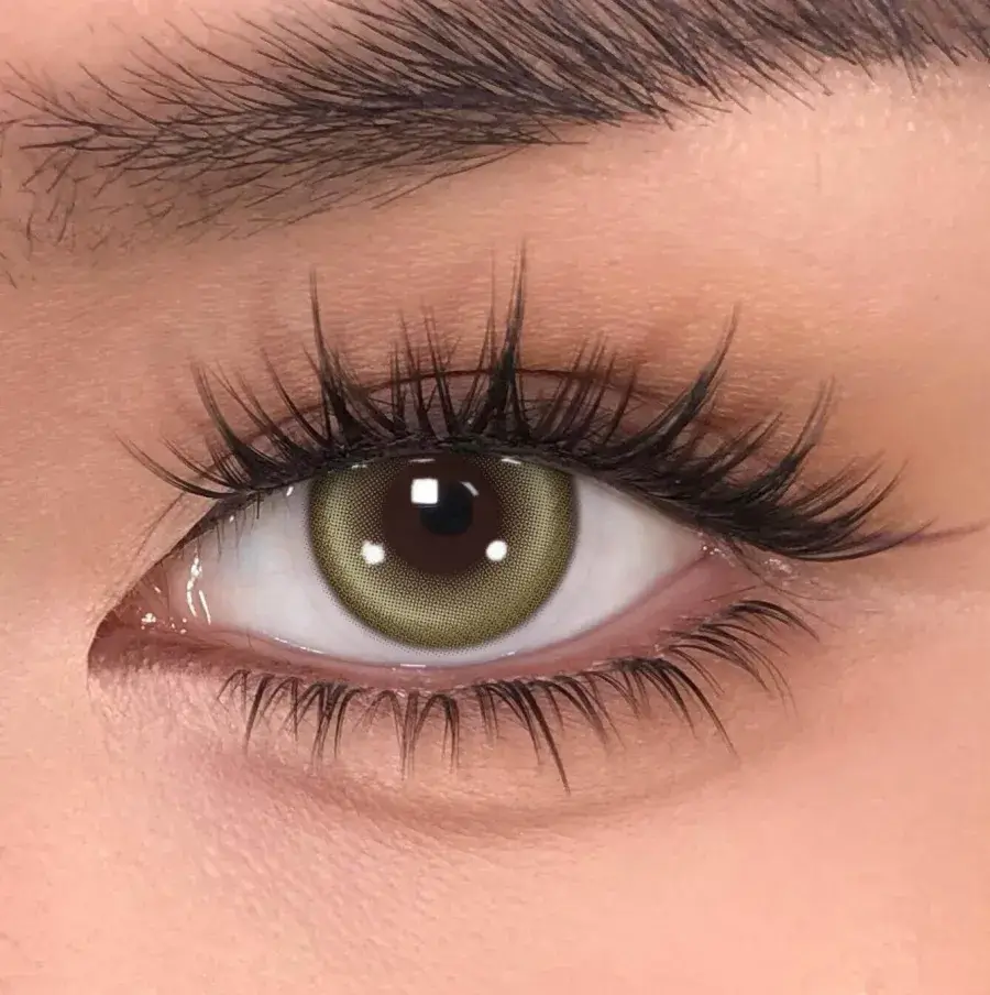 【New】Mislens Halo Brown
