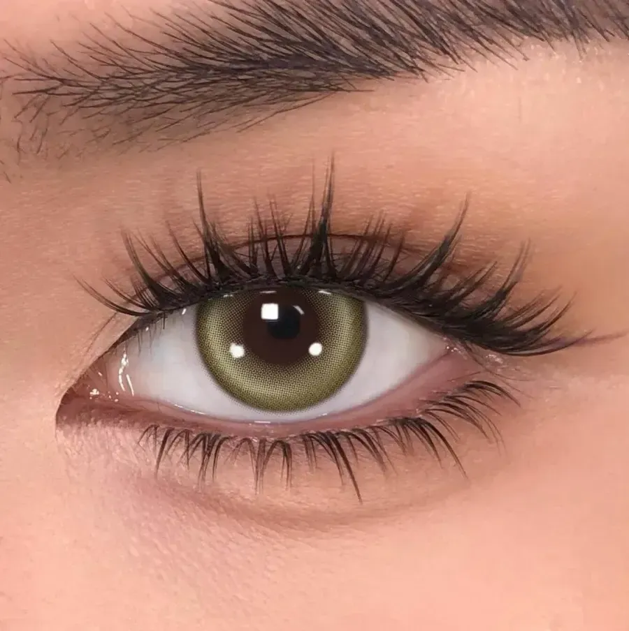 【New】Mislens Halo Brown