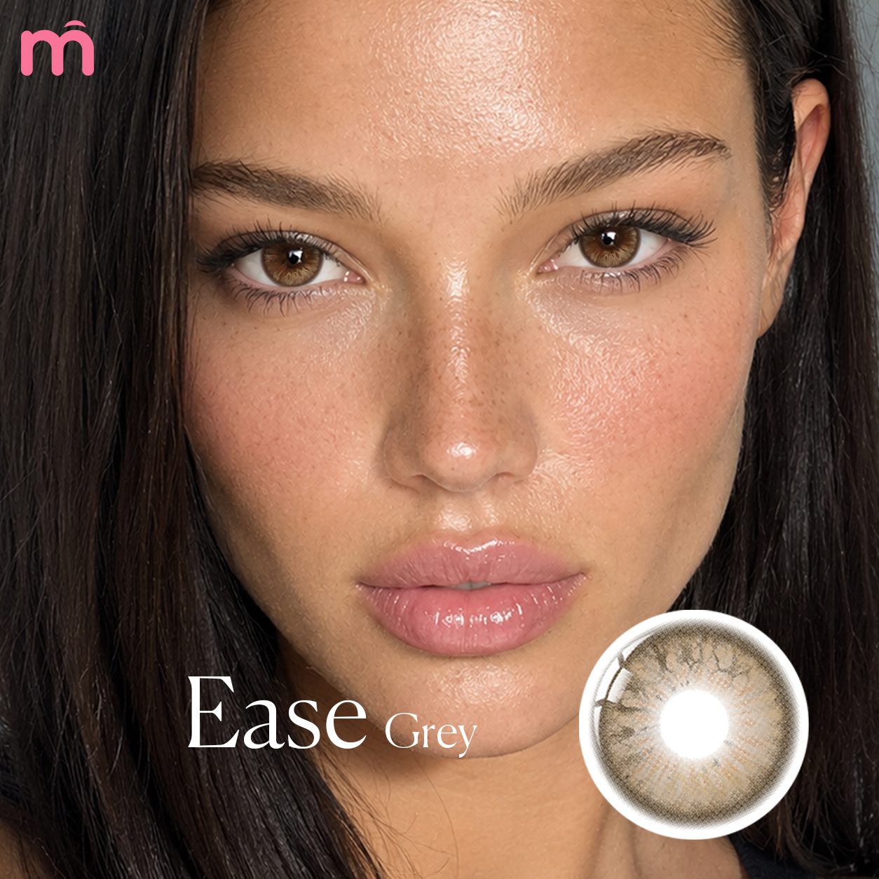 【New】Mislens Ease Brown 1-Day Lenses (10 Lenses / Box)
