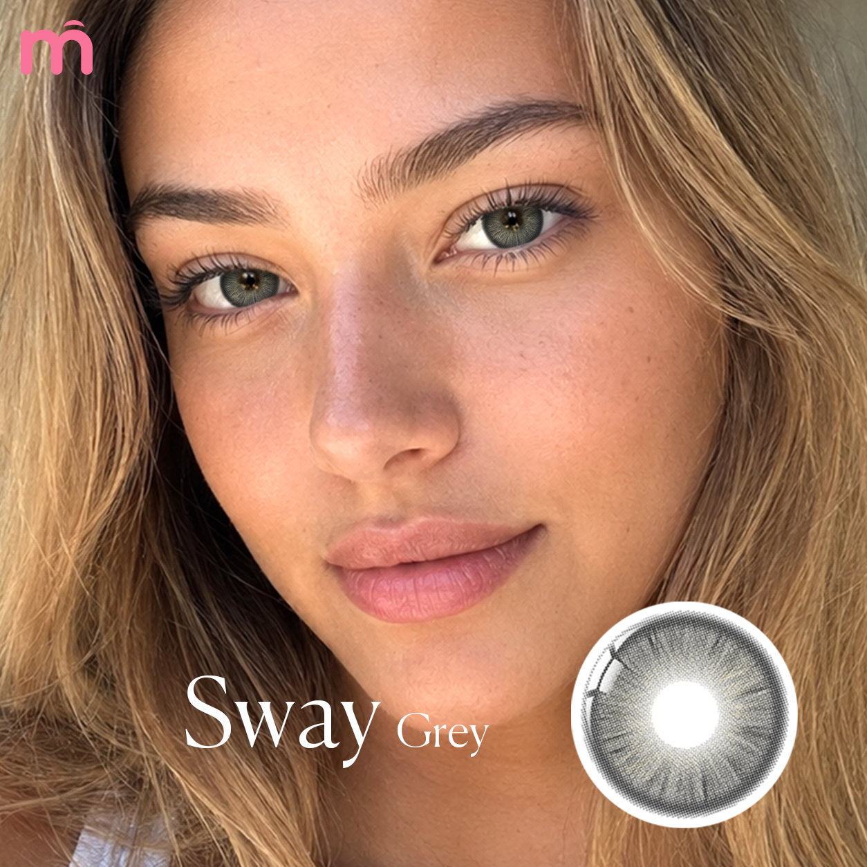 【New】Mislens Sway Grey 1-Day Lenses (10 Lenses / Box)