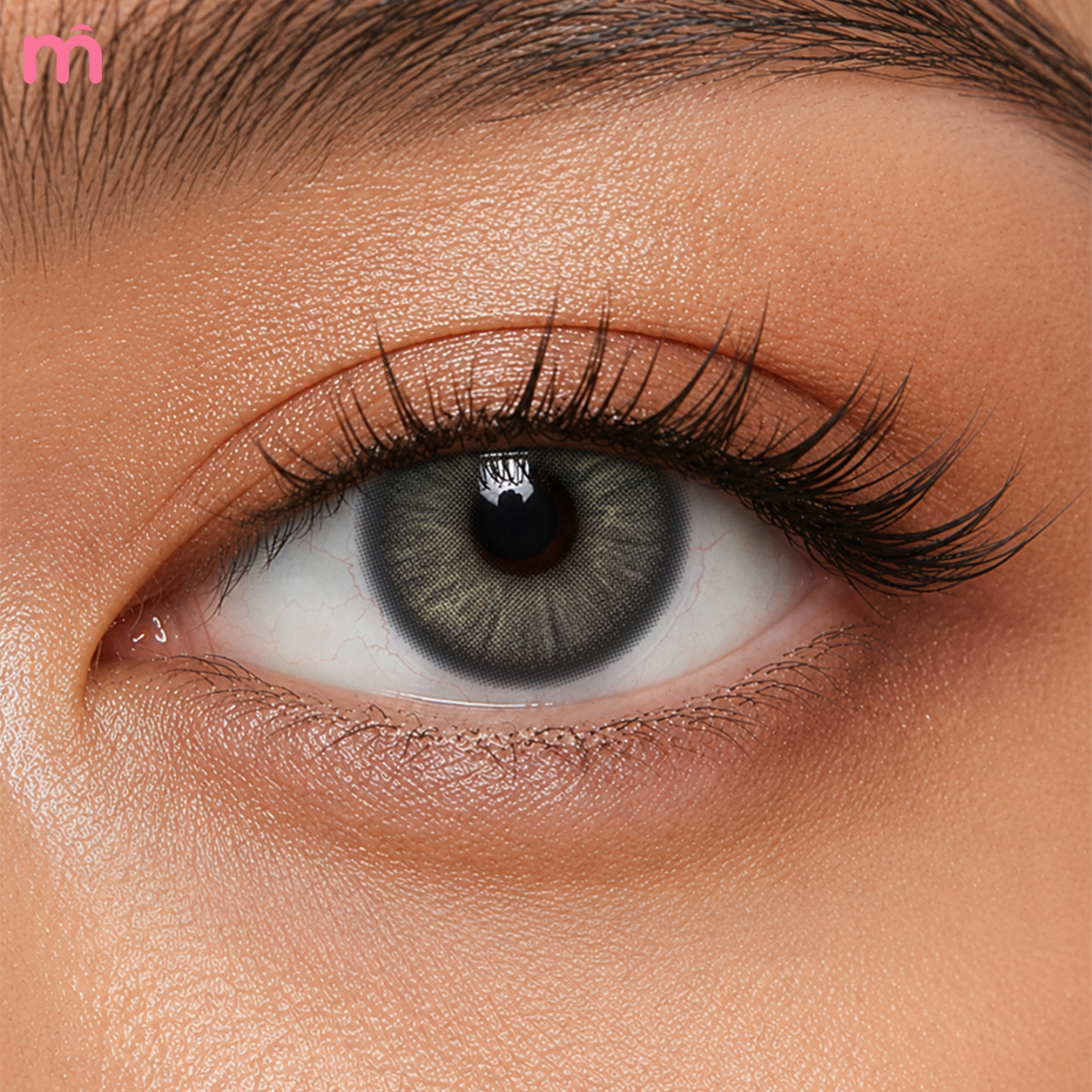 【New】Mislens Sway Grey 1-Day Lenses (10 Lenses / Box)