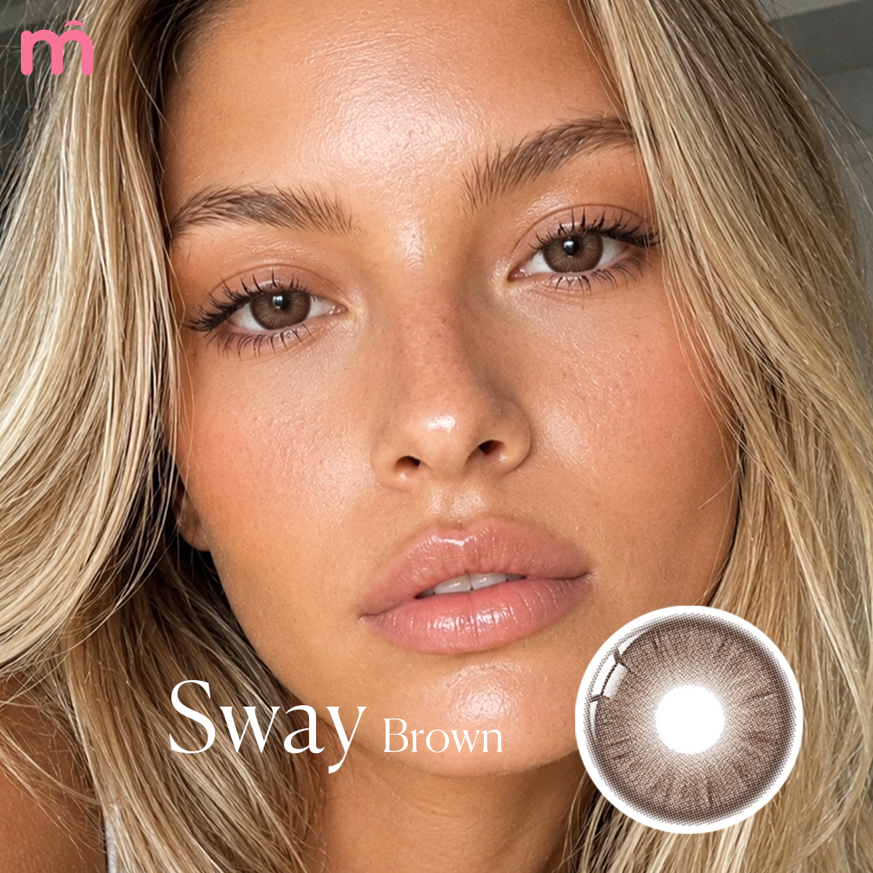 【New】Mislens Sway Brown 1-Day Lenses (10 Lenses / Box)