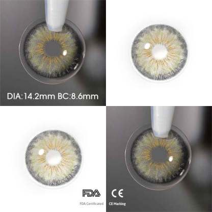 【New】Mislens Cleopatra gray-Pre-Sale