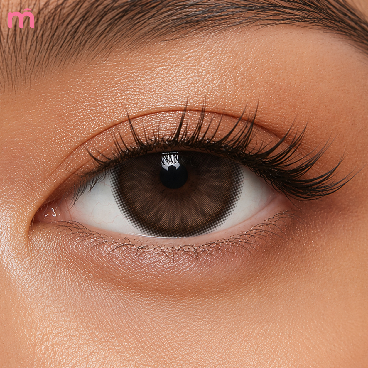 【New】Mislens Bask Brown 1-Month Lenses 