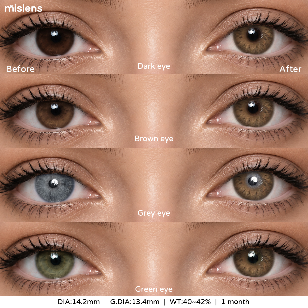 【New】Mislens Alpine Brown 1-Month 