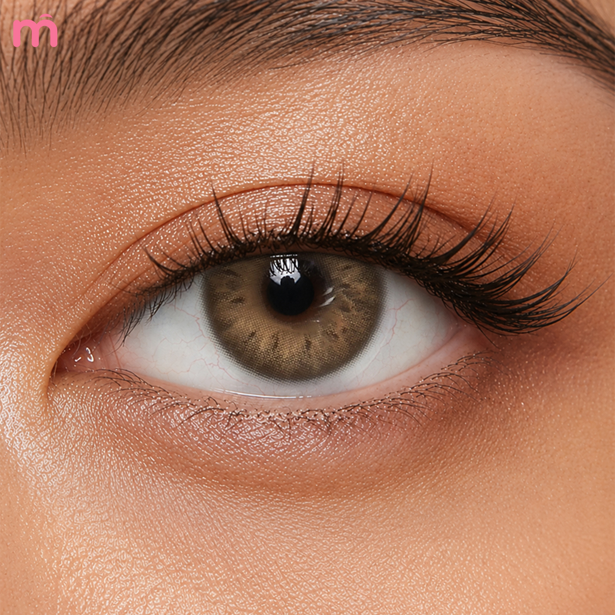 【New】Mislens Alpine Brown 1-Month 