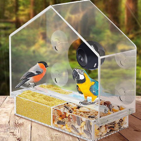 Smart Bird Feeder With Camera