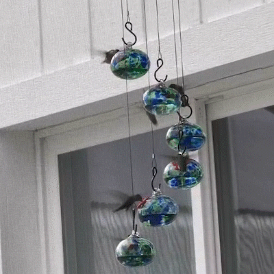 Charming Wind Chimes Hummingbird feeders