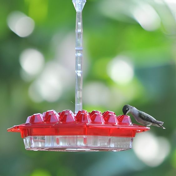 unearry Sweety Hummingbird Feeder