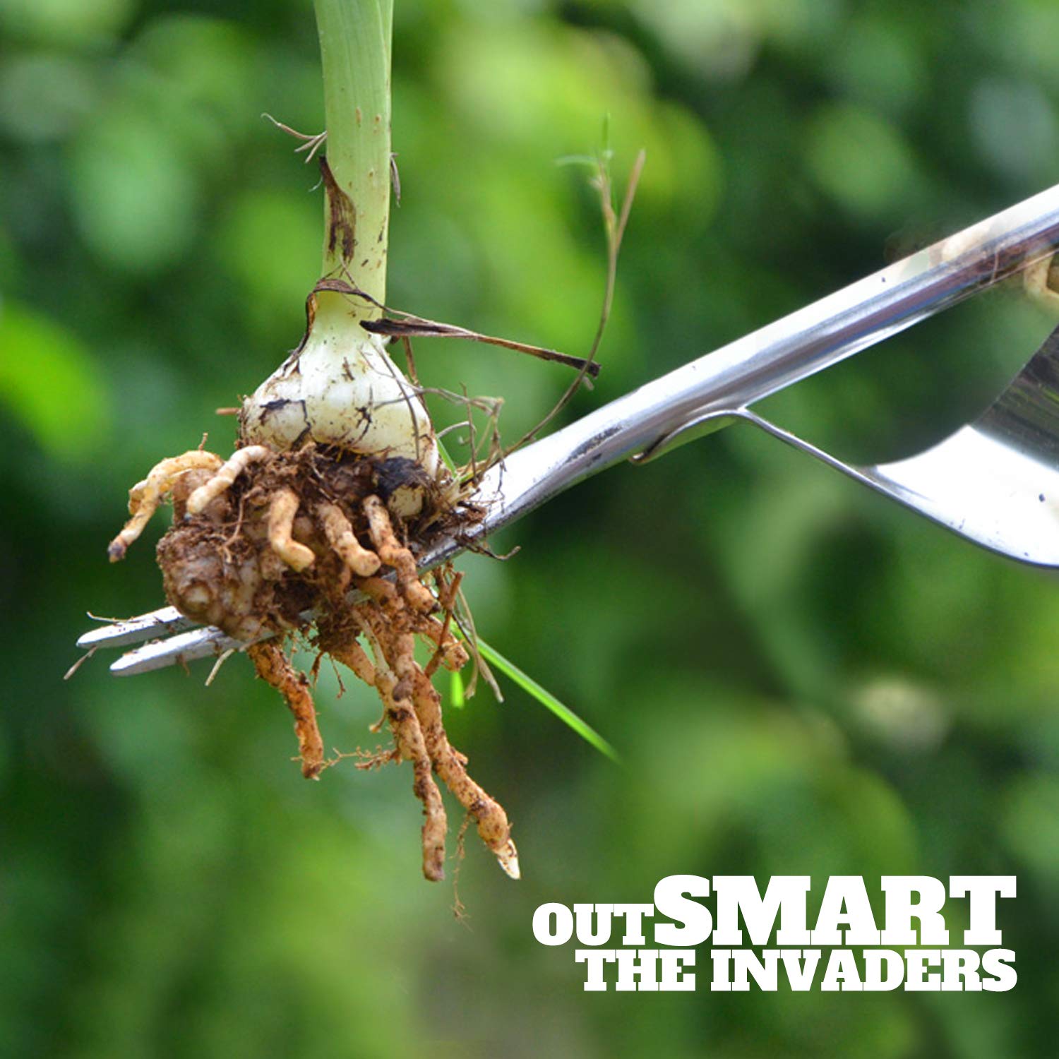 Stainless Steel Weed Remover