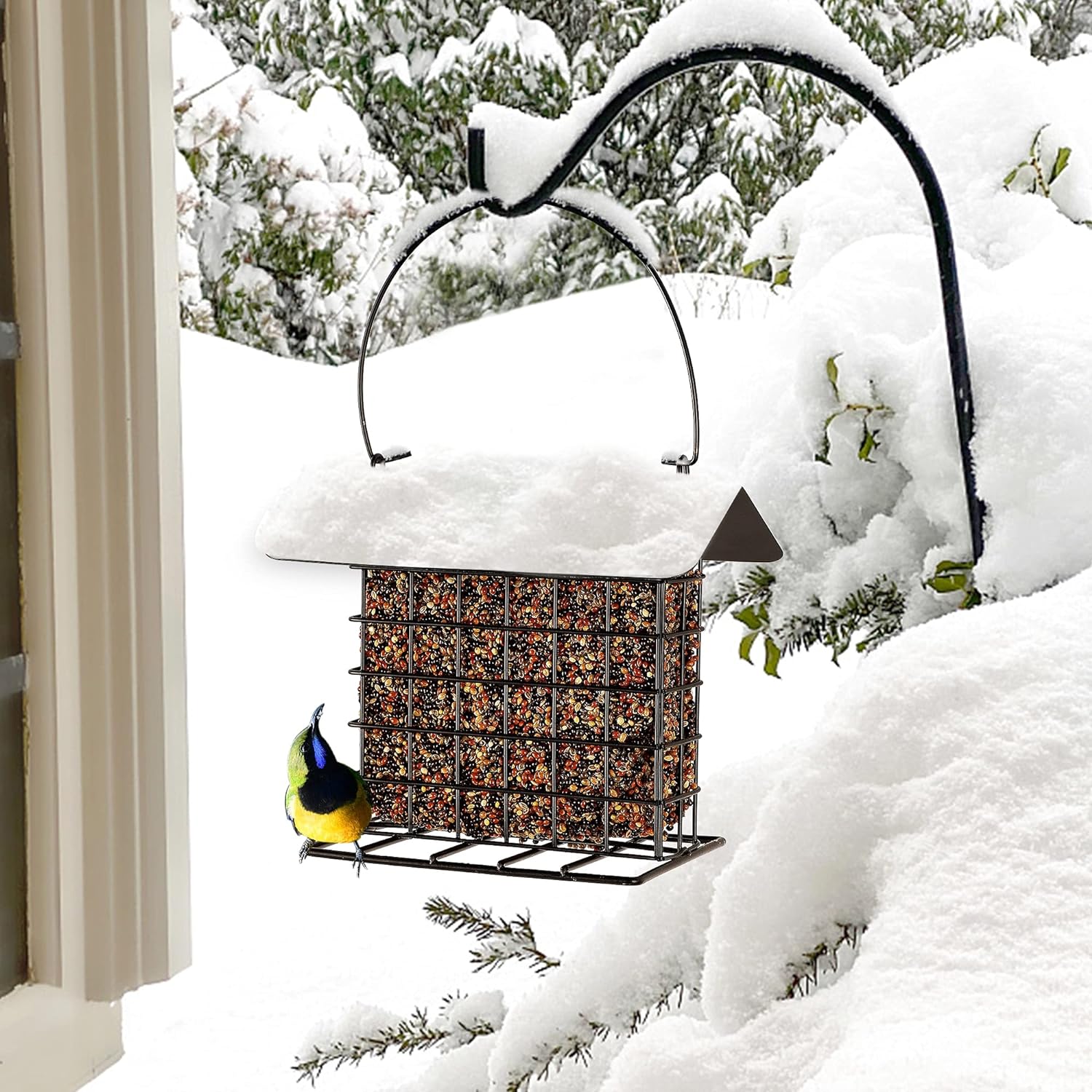 Hanging Suet Holder Cage Cake Bird Feeder for Outside - Squirrel Proof & Rainproof