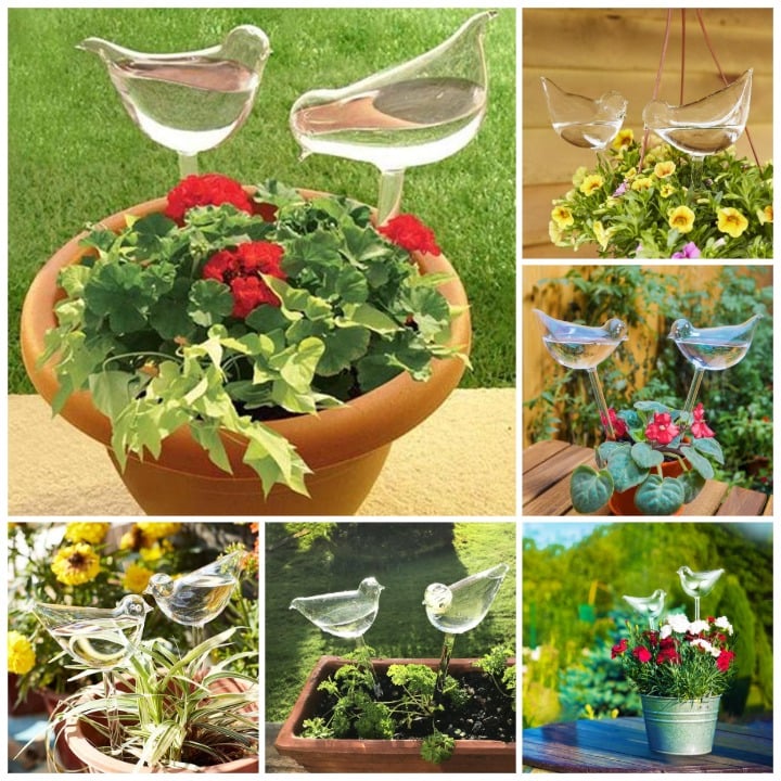 2pcs Self-Watering Plant Glass Bulbs