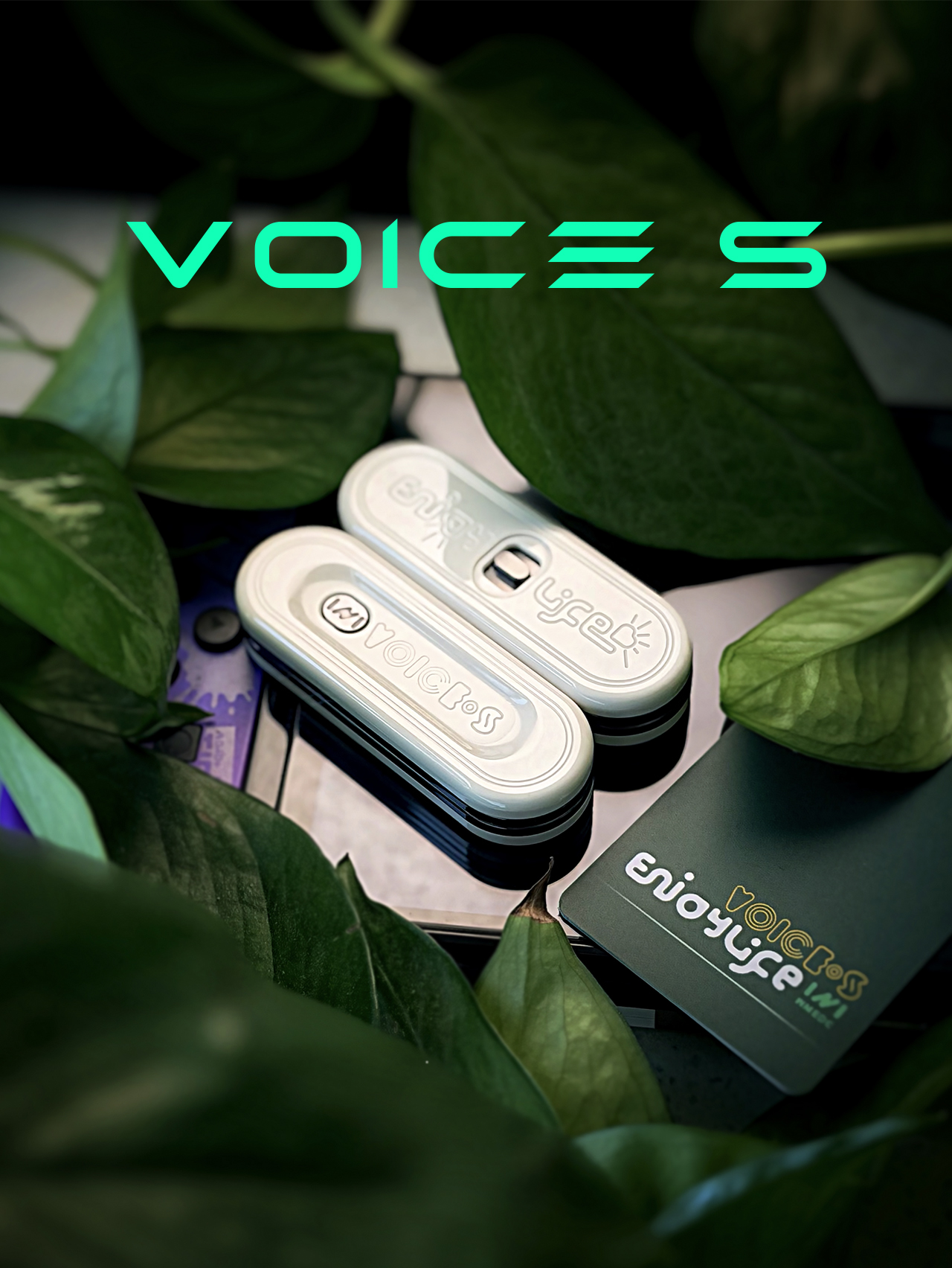 VOICE S