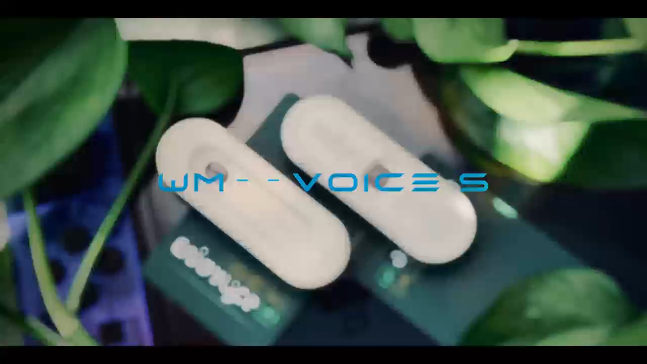 VOICE S