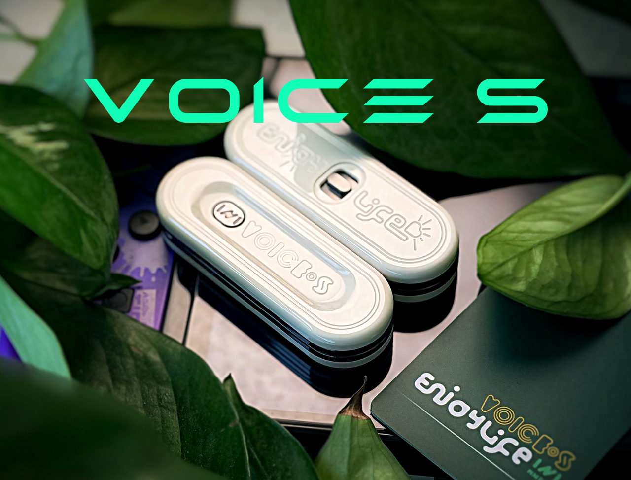 VOICE S