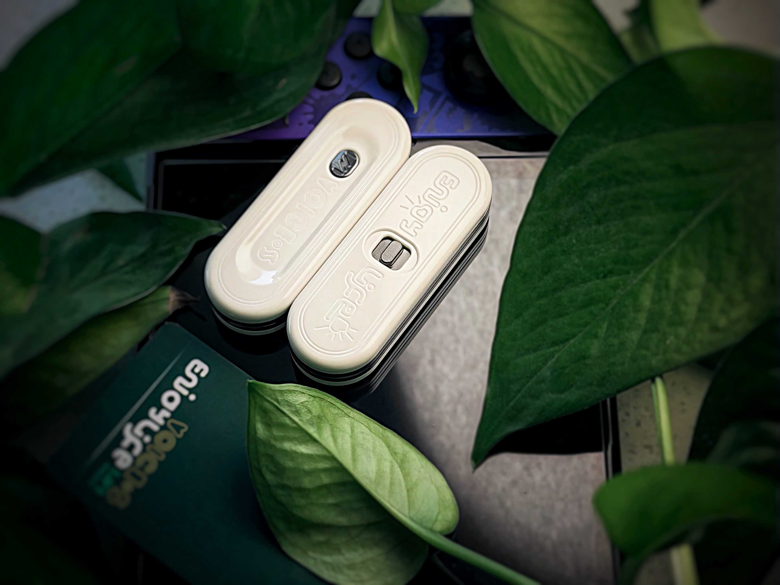 VOICE S